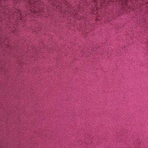 Star Velvet 85 Purple