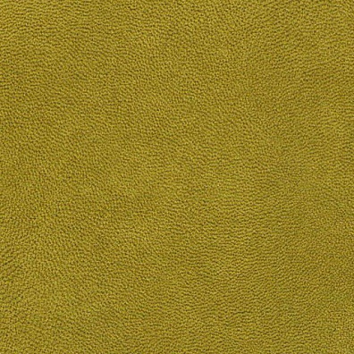 Matador Avocado