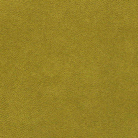 Matador Avocado
