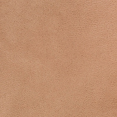 Sofa Leather 01
