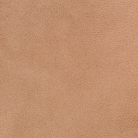 Sofa Leather 01