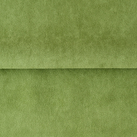 Bentley Green stem 09
