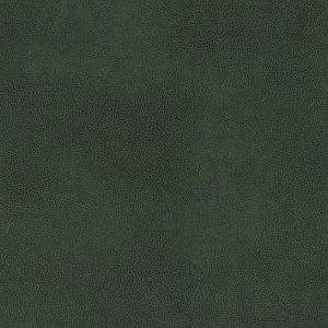 Гранд Каньон 119