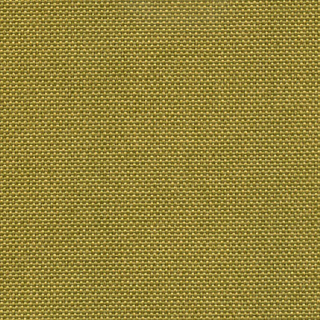 Rodos Olive
