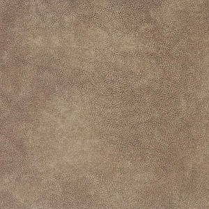 Гранд Каньон 101