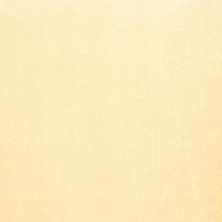 Star Velvet 01 Camel