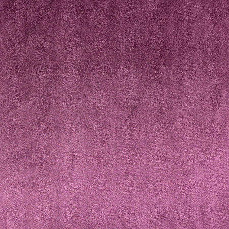 Star Velvet 21 Aubergine
