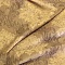 SL 3628-569