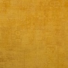 Forte 5