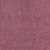 New York Violet