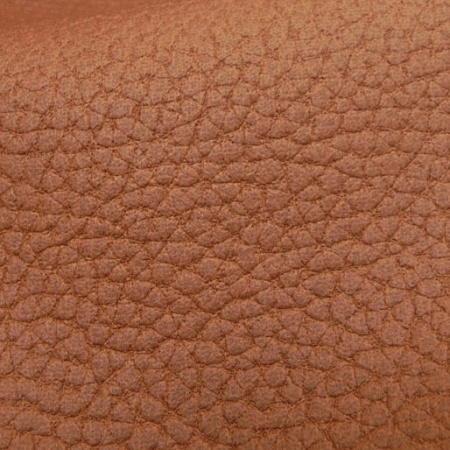 Terra
