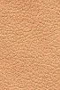 MADRAS BICOLORE SABLIA