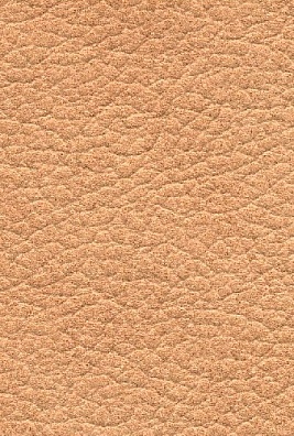 MADRAS BICOLORE SABLIA