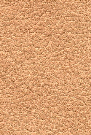 MADRAS BICOLORE SABLIA