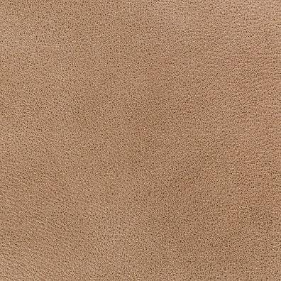 Sofa Leather 02