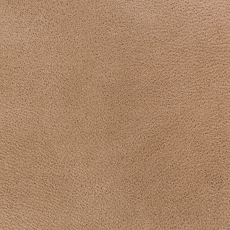 Sofa Leather 02