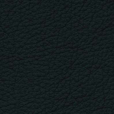 MADRAS NERO