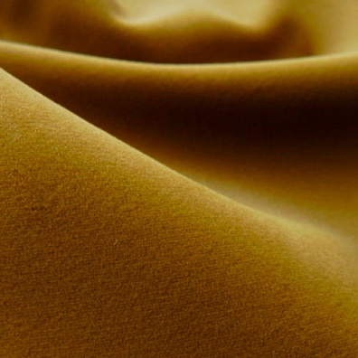 Virginia Mustard