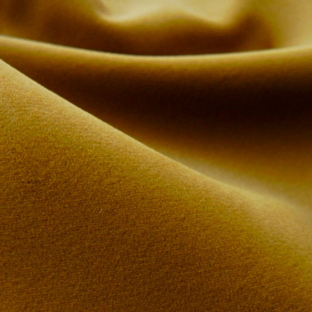Virginia Mustard