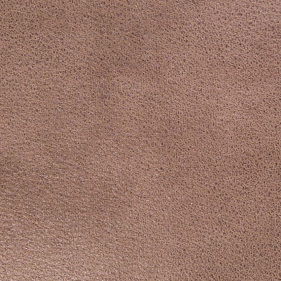 Sofa Leather 04