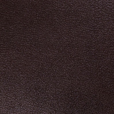 Sofa Leather 18