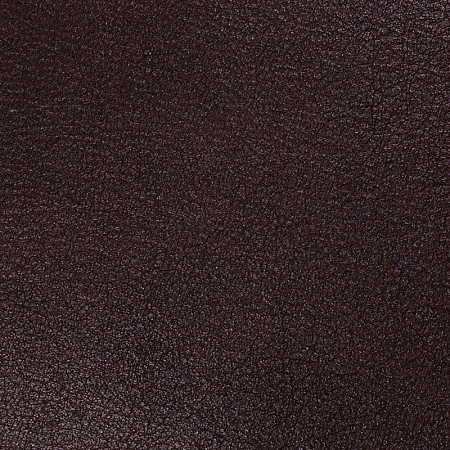 Sofa Leather 18