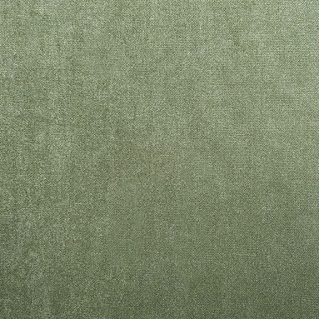 Grass