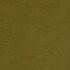 Matador Olive