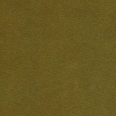 Matador Olive