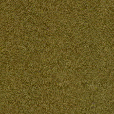 Matador Olive