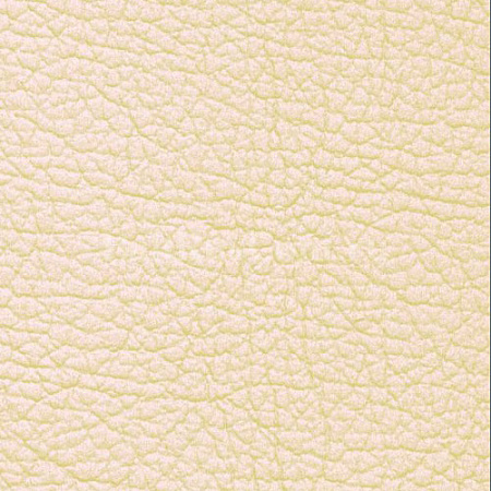 MADRAS CANVAS