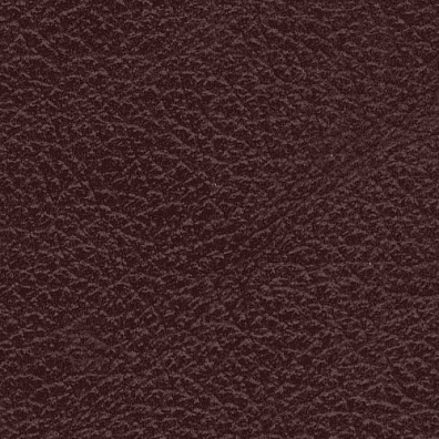 MADRAS BICOLORE OXBLOOD