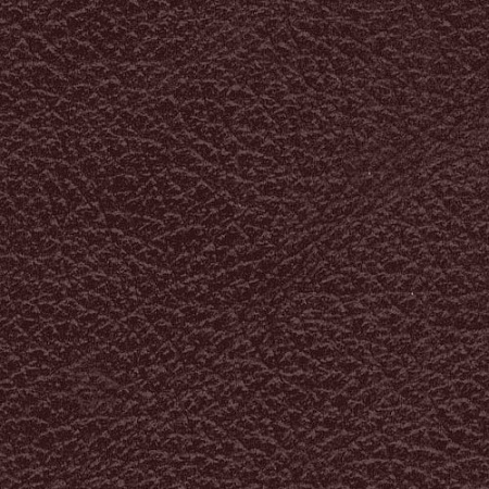 MADRAS BICOLORE OXBLOOD