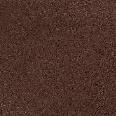 Sofa Leather 21