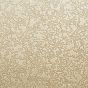 Grace 03