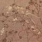 Фэшион 030-06