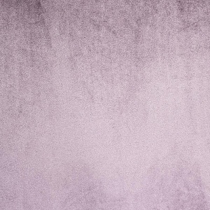Star Velvet 20 Light purple