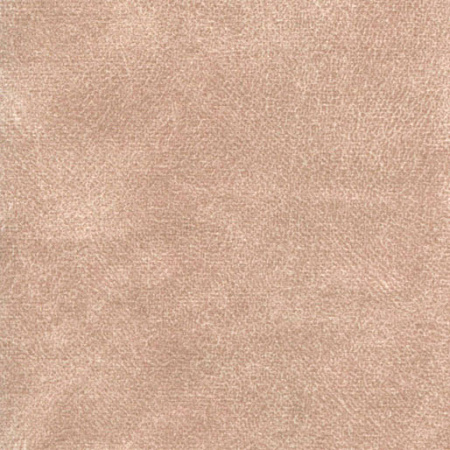 Cappuchino