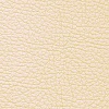 MADRAS CANVAS