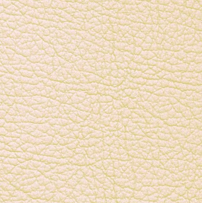 MADRAS CANVAS