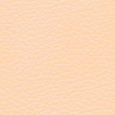 MADRAS ROSE WHITE
