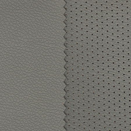 DAKOTA 2135/perfo