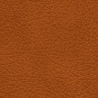 MADRAS BICOLORE ONTANO