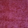 TREND PEONY