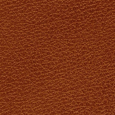 MADRAS BICOLORE EICHEL