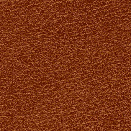 MADRAS BICOLORE EICHEL