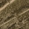 Прадо 313