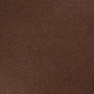 Sofa Leather 07