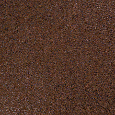 Sofa Leather 07