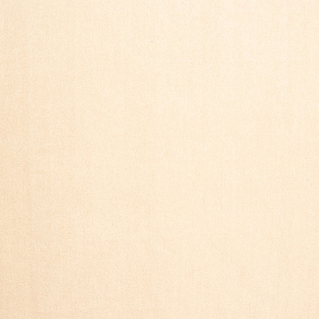 Star Velvet 07 Beige